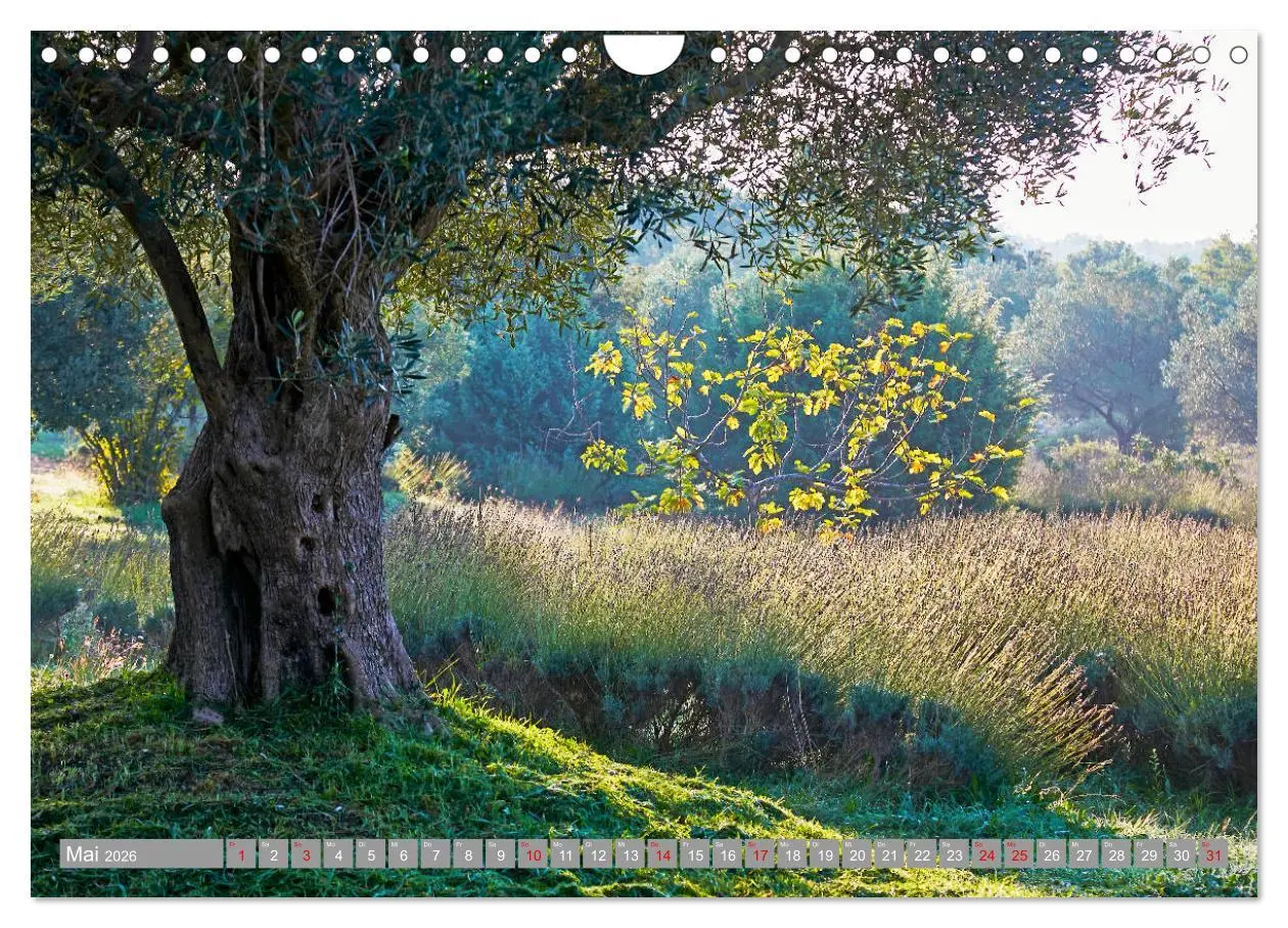 Bild: 9783457833247 | ISTRIEN (Wandkalender 2026 DIN A4 quer), CALVENDO Monatskalender