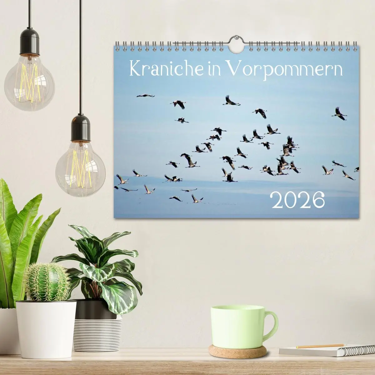 Bild: 9783516093247 | Kraniche in Vorpommern (Wandkalender 2026 DIN A4 quer), CALVENDO...