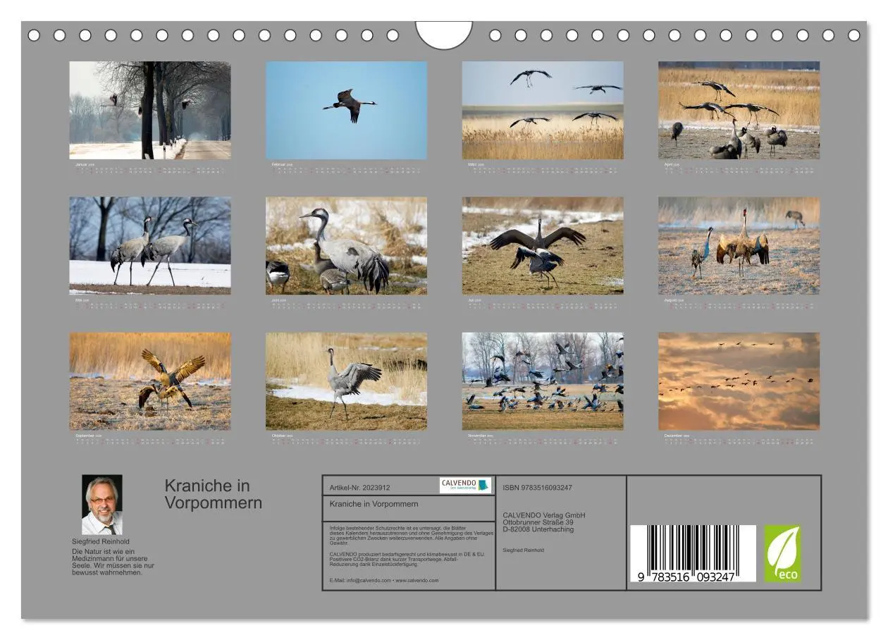 Bild: 9783516093247 | Kraniche in Vorpommern (Wandkalender 2026 DIN A4 quer), CALVENDO...