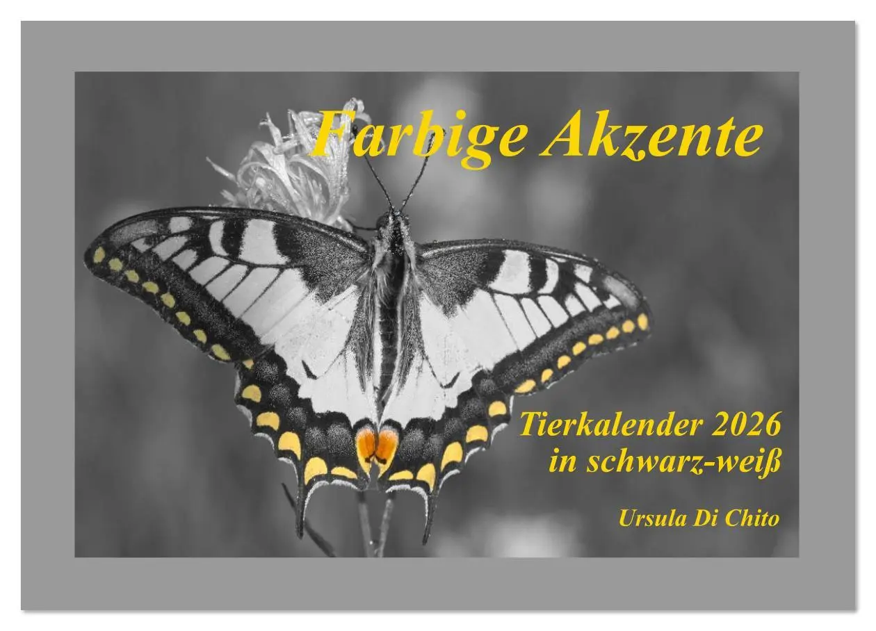 Cover: 9783516163247 | Farbige Akzente - Tierkalender 2026 in schwarz-weiß (Wandkalender...