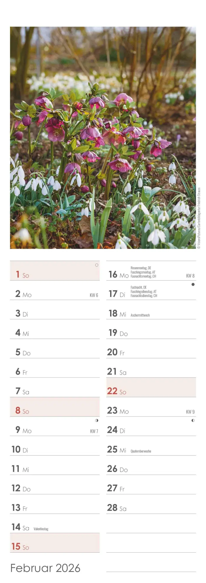 Bild: 4069095003347 | Gartenzauber 2026 - Streifenkalender 15x42 cm - mit viel Platz für...