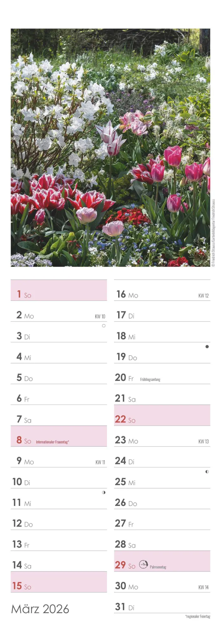 Bild: 4069095003347 | Gartenzauber 2026 - Streifenkalender 15x42 cm - mit viel Platz für...