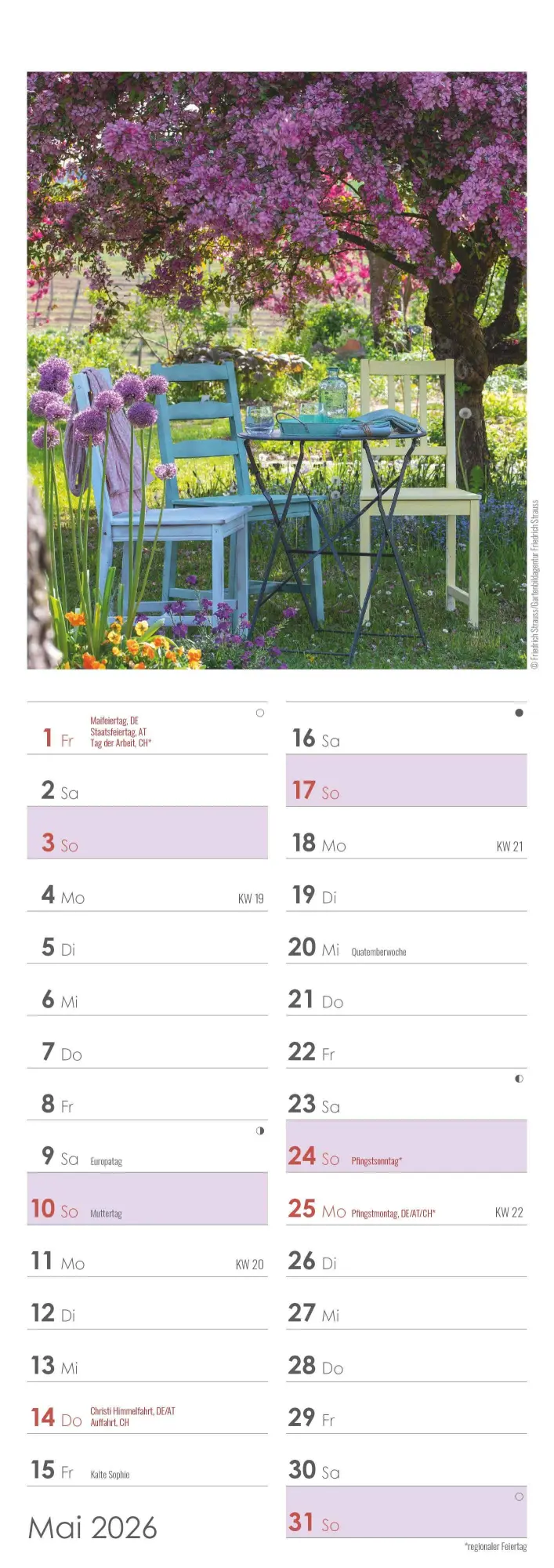 Bild: 4069095003347 | Gartenzauber 2026 - Streifenkalender 15x42 cm - mit viel Platz für...
