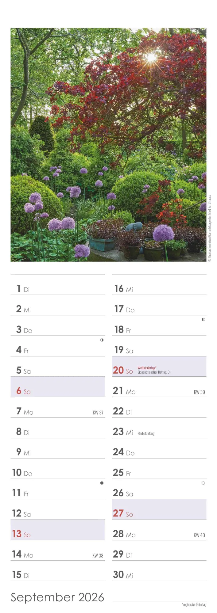 Bild: 4069095003347 | Gartenzauber 2026 - Streifenkalender 15x42 cm - mit viel Platz für...