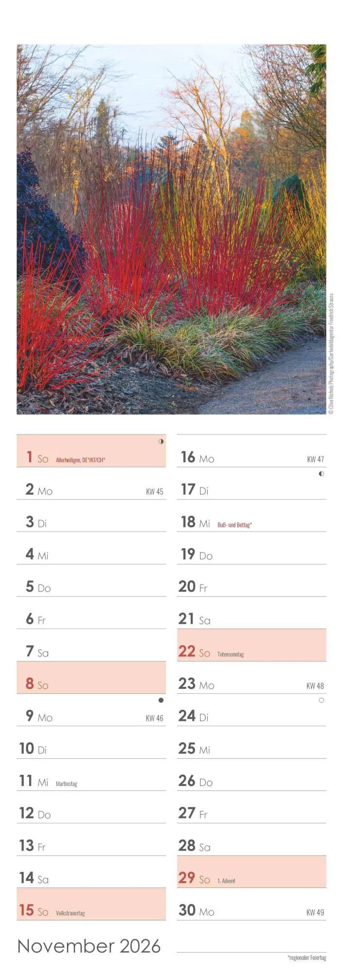 Bild: 4069095003347 | Gartenzauber 2026 - Streifenkalender 15x42 cm - mit viel Platz für...