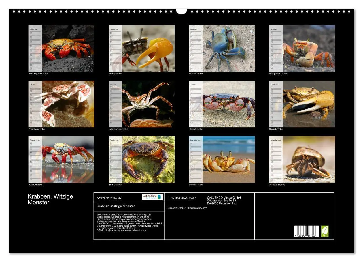 Bild: 9783457993347 | Krabben. Witzige Monster (Wandkalender 2026 DIN A2 quer), CALVENDO...