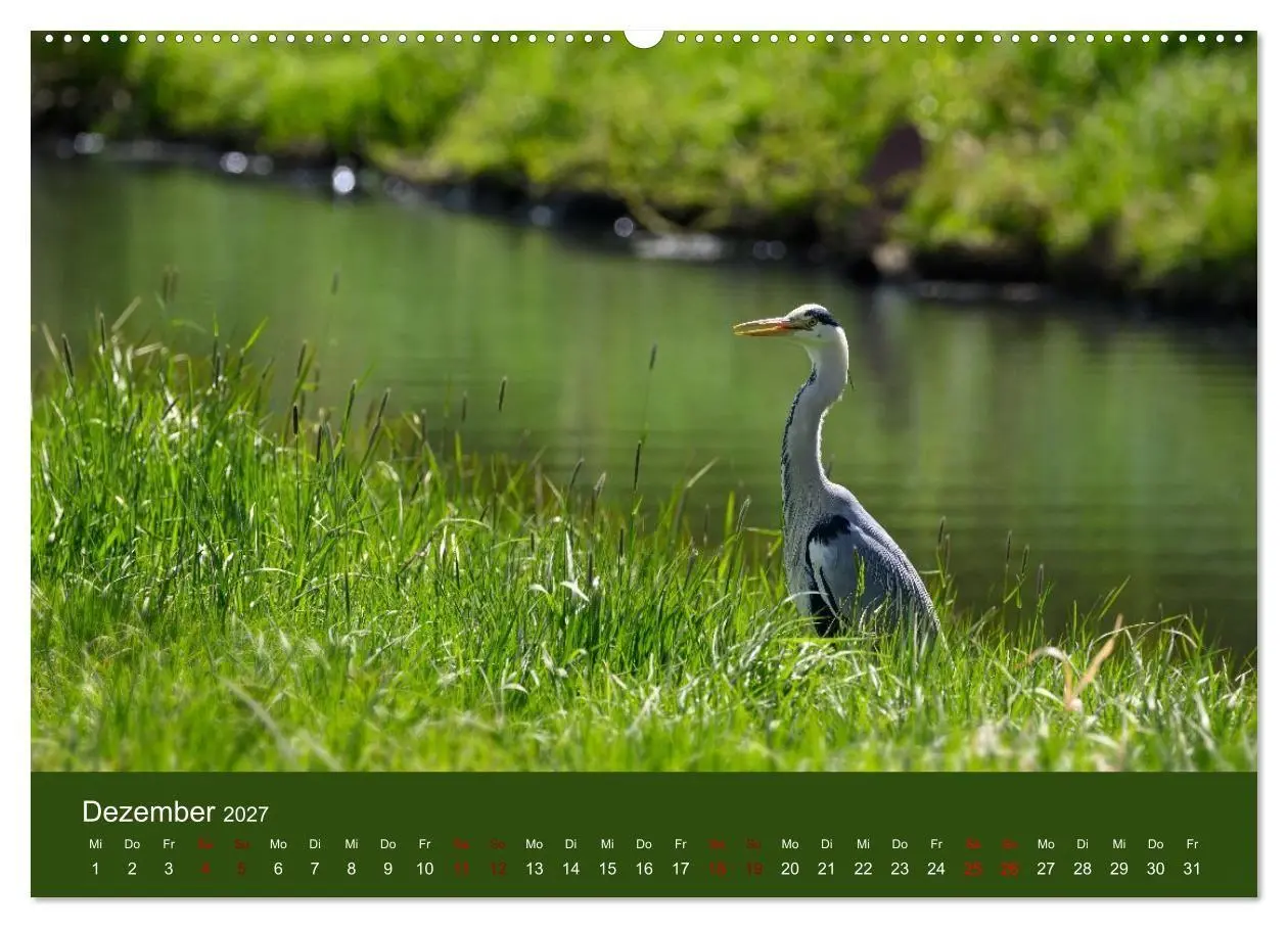 Bild: 9783594373347 | Reiher in der Elbmarsch (hochwertiger Premium Wandkalender 2027 DIN...