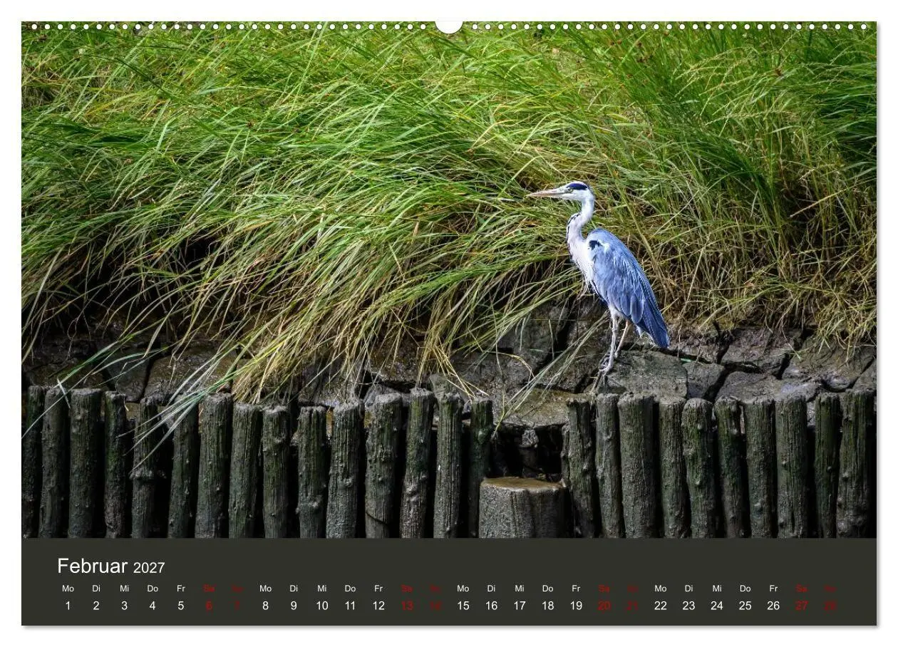Bild: 9783594373347 | Reiher in der Elbmarsch (hochwertiger Premium Wandkalender 2027 DIN...