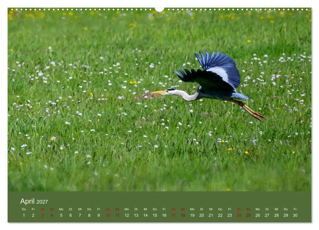 Bild: 9783594373347 | Reiher in der Elbmarsch (hochwertiger Premium Wandkalender 2027 DIN...