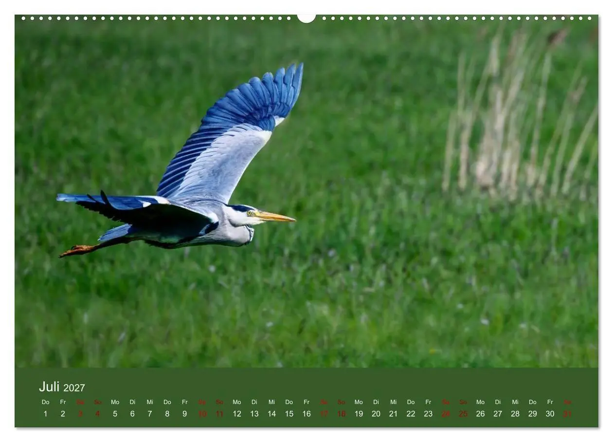 Bild: 9783594373347 | Reiher in der Elbmarsch (hochwertiger Premium Wandkalender 2027 DIN...