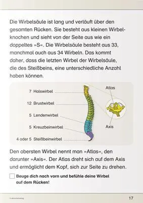Bild: 9783939293347 | Ich kenne meinen Körper - Skelett, Muskeln und Wirbelsäule | Langhans
