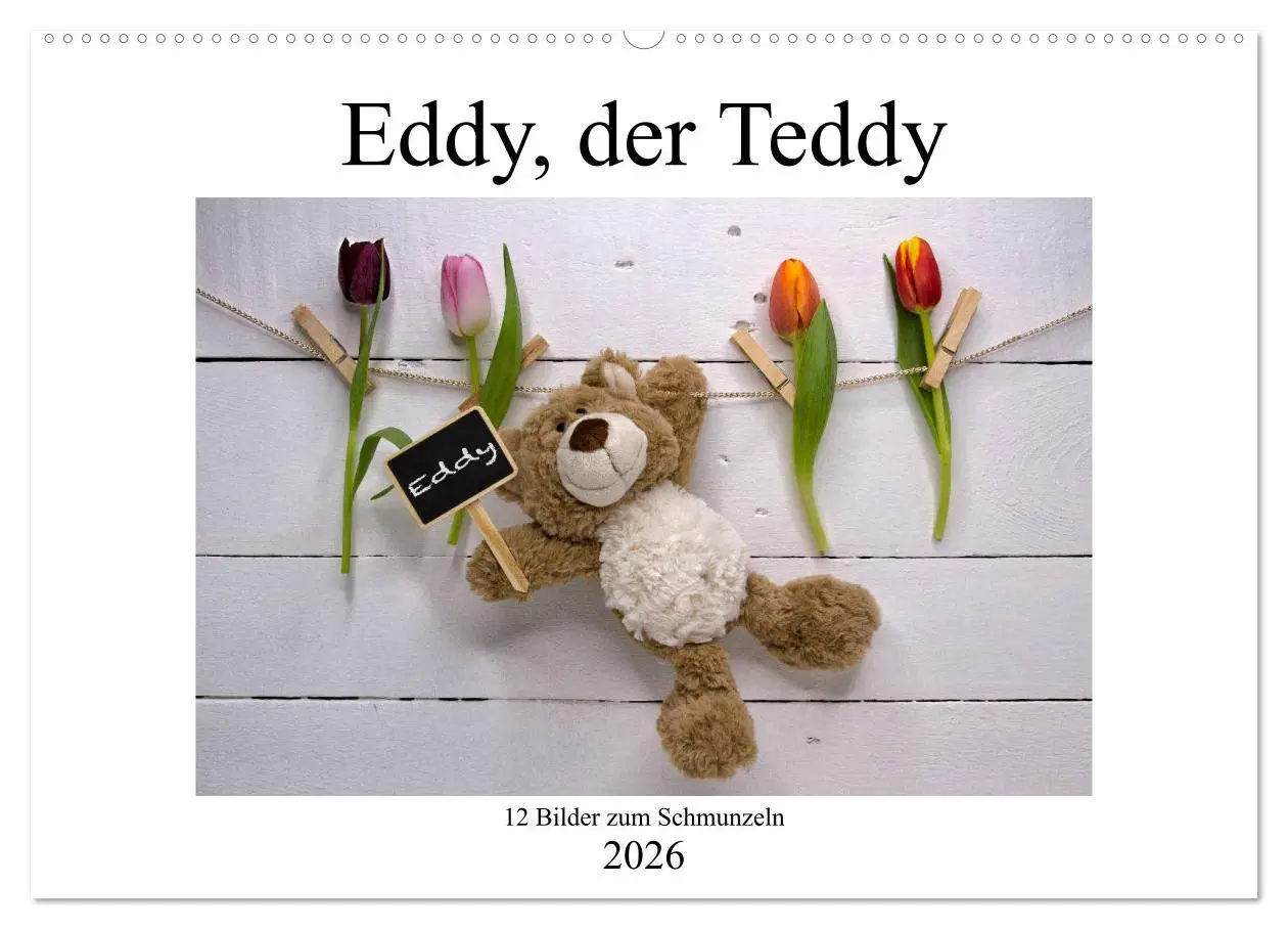 Cover: 9783457813447 | Eddy, der Teddy - 12 Bilder zum Schmunzeln (Wandkalender 2026 DIN...