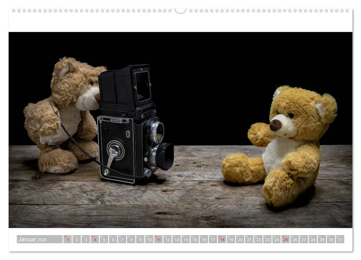 Bild: 9783457813447 | Eddy, der Teddy - 12 Bilder zum Schmunzeln (Wandkalender 2026 DIN...