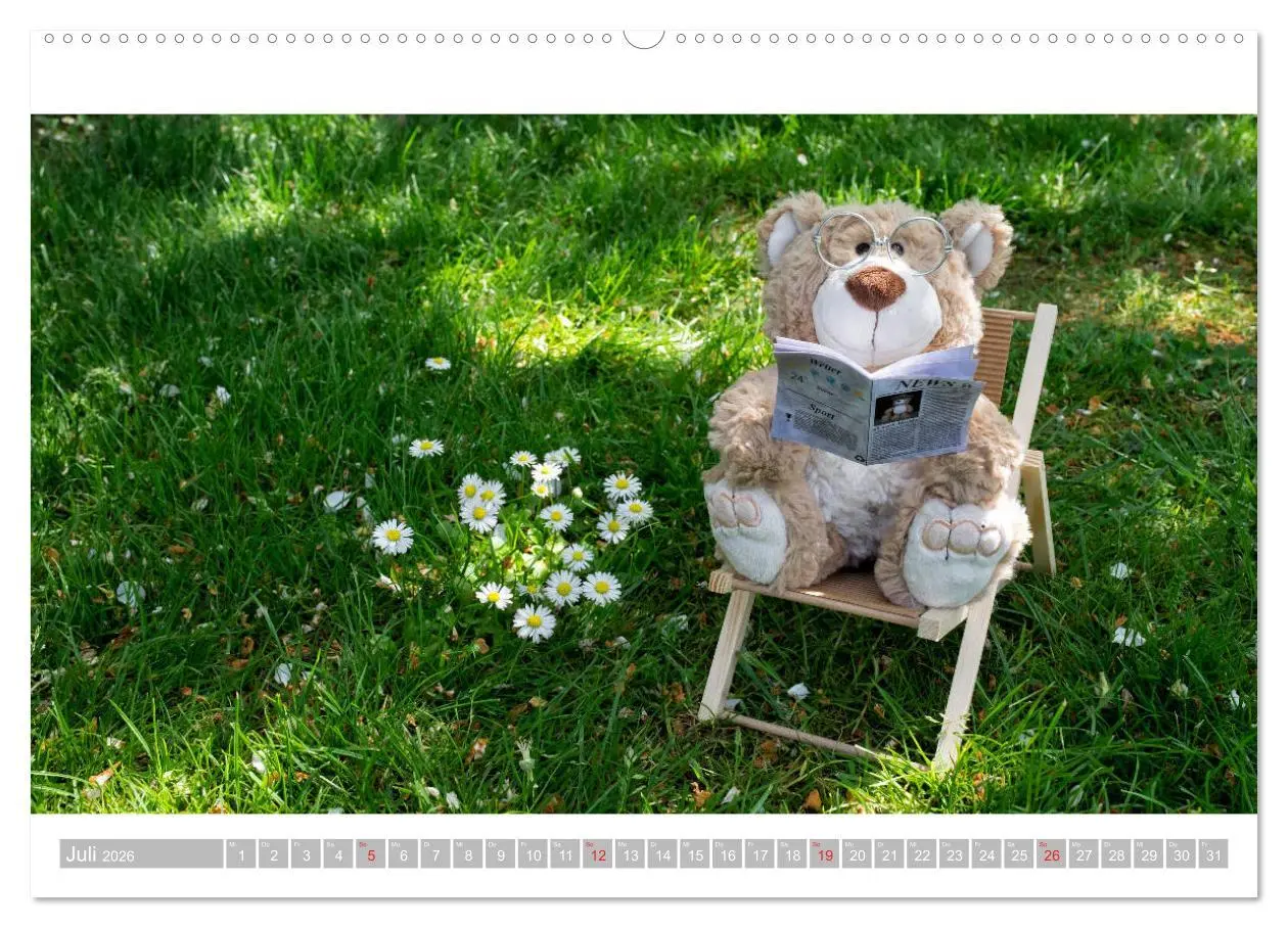 Bild: 9783457813447 | Eddy, der Teddy - 12 Bilder zum Schmunzeln (Wandkalender 2026 DIN...