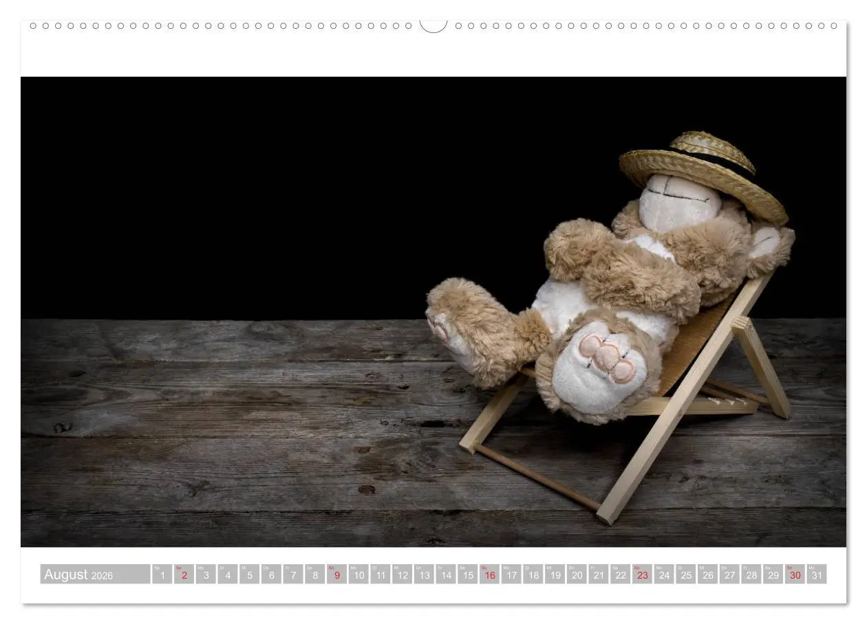 Bild: 9783457813447 | Eddy, der Teddy - 12 Bilder zum Schmunzeln (Wandkalender 2026 DIN...