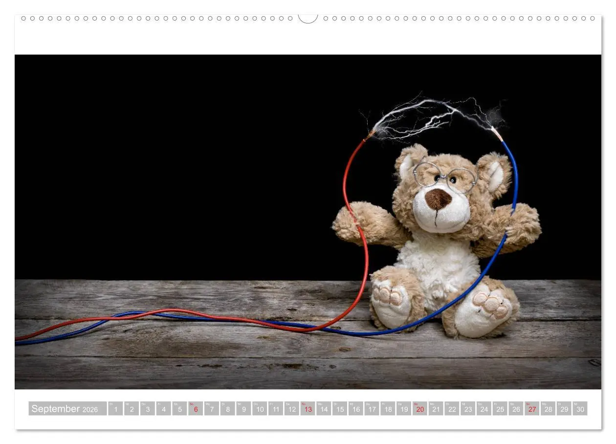 Bild: 9783457813447 | Eddy, der Teddy - 12 Bilder zum Schmunzeln (Wandkalender 2026 DIN...