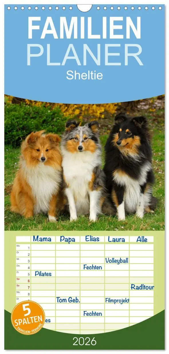 Cover: 9783516523447 | Familienplaner 2026 - Sheltie 2026 mit 5 Spalten (Wandkalender, 21...