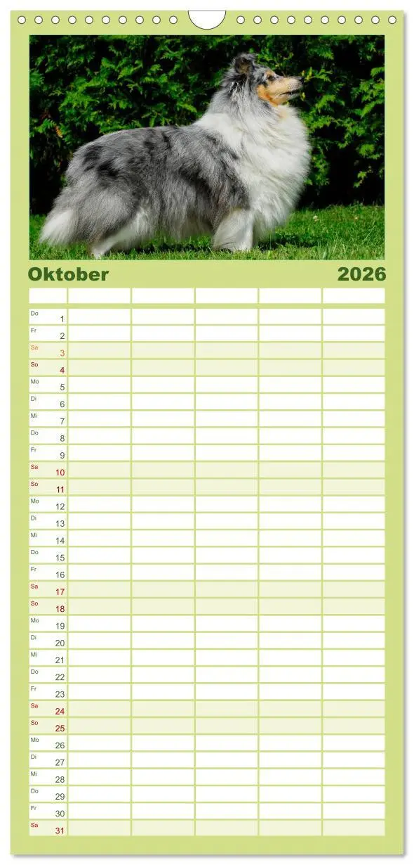 Bild: 9783516523447 | Familienplaner 2026 - Sheltie 2026 mit 5 Spalten (Wandkalender, 21...