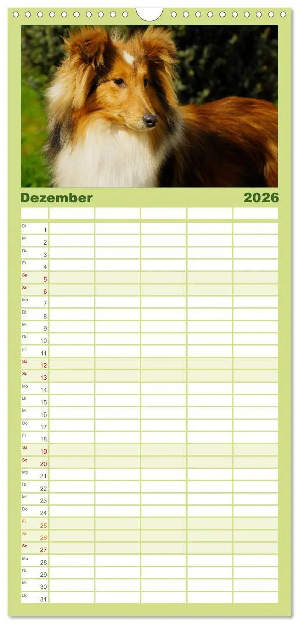 Bild: 9783516523447 | Familienplaner 2026 - Sheltie 2026 mit 5 Spalten (Wandkalender, 21...