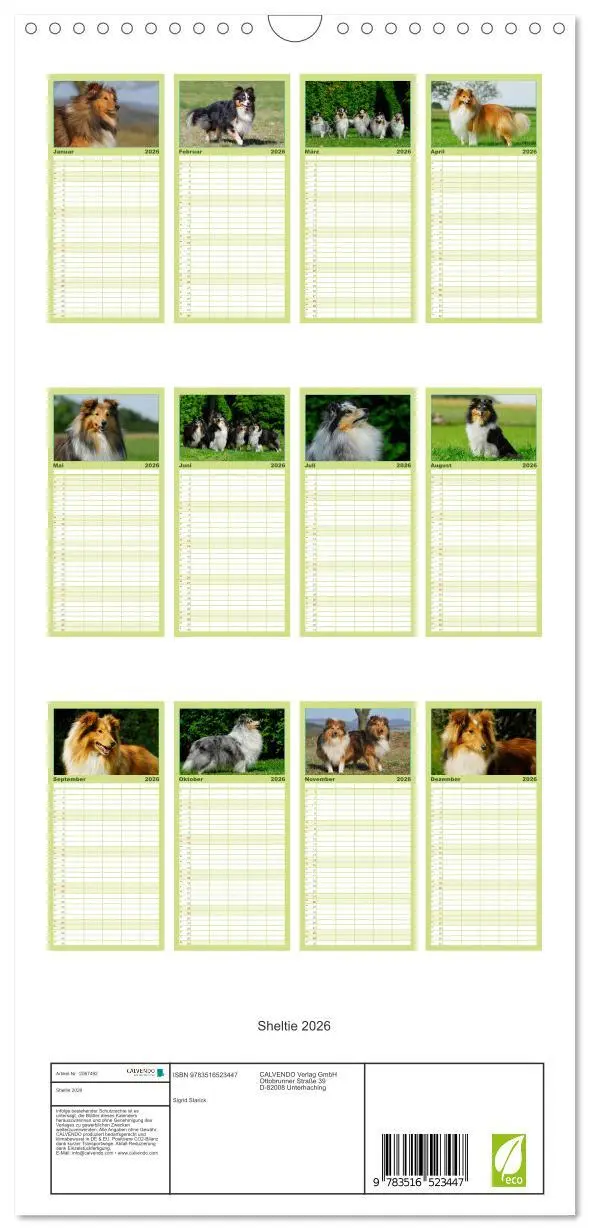 Bild: 9783516523447 | Familienplaner 2026 - Sheltie 2026 mit 5 Spalten (Wandkalender, 21...