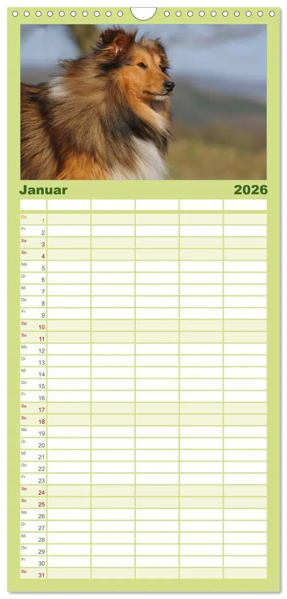 Bild: 9783516523447 | Familienplaner 2026 - Sheltie 2026 mit 5 Spalten (Wandkalender, 21...