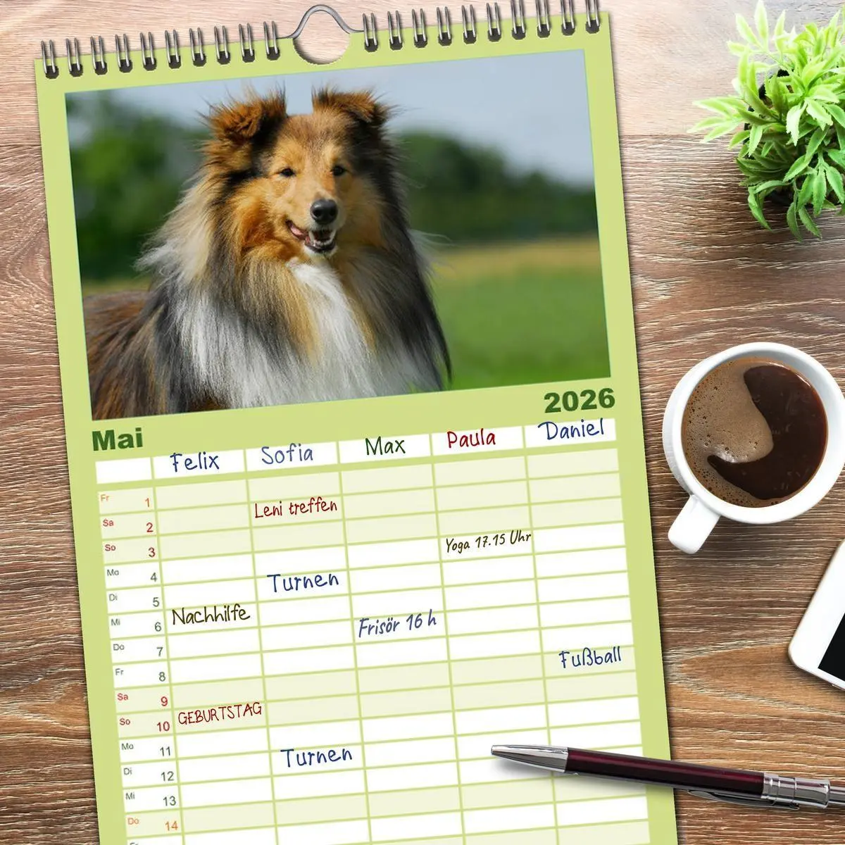 Bild: 9783516523447 | Familienplaner 2026 - Sheltie 2026 mit 5 Spalten (Wandkalender, 21...