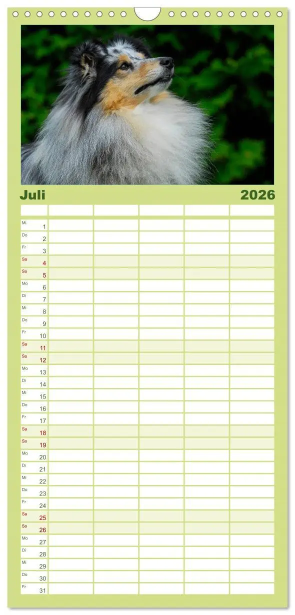 Bild: 9783516523447 | Familienplaner 2026 - Sheltie 2026 mit 5 Spalten (Wandkalender, 21...