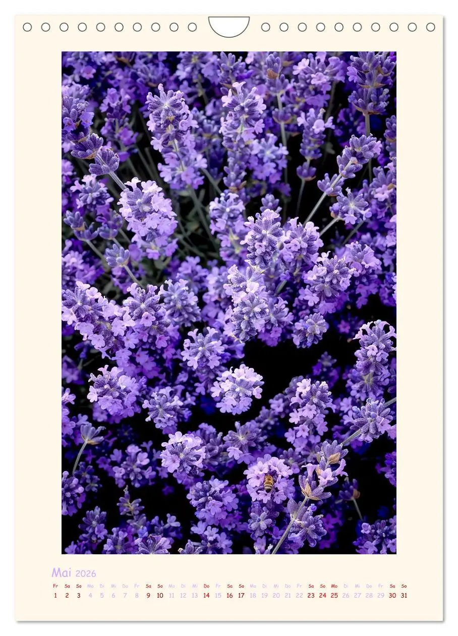 Bild: 9783457283547 | Lavendel (Wandkalender 2026 DIN A4 hoch), CALVENDO Monatskalender