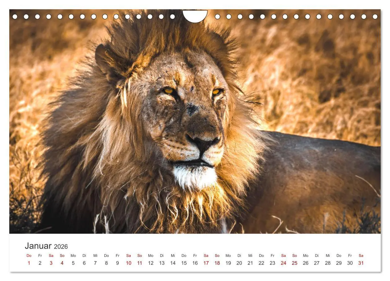 Bild: 9783457593547 | Namibia - Ein Paradies auf Erden. (Wandkalender 2026 DIN A4 quer),...
