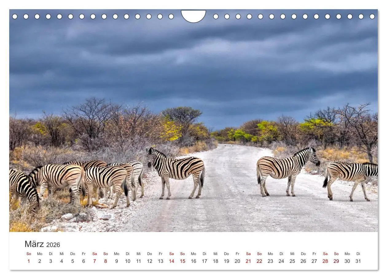 Bild: 9783457593547 | Namibia - Ein Paradies auf Erden. (Wandkalender 2026 DIN A4 quer),...