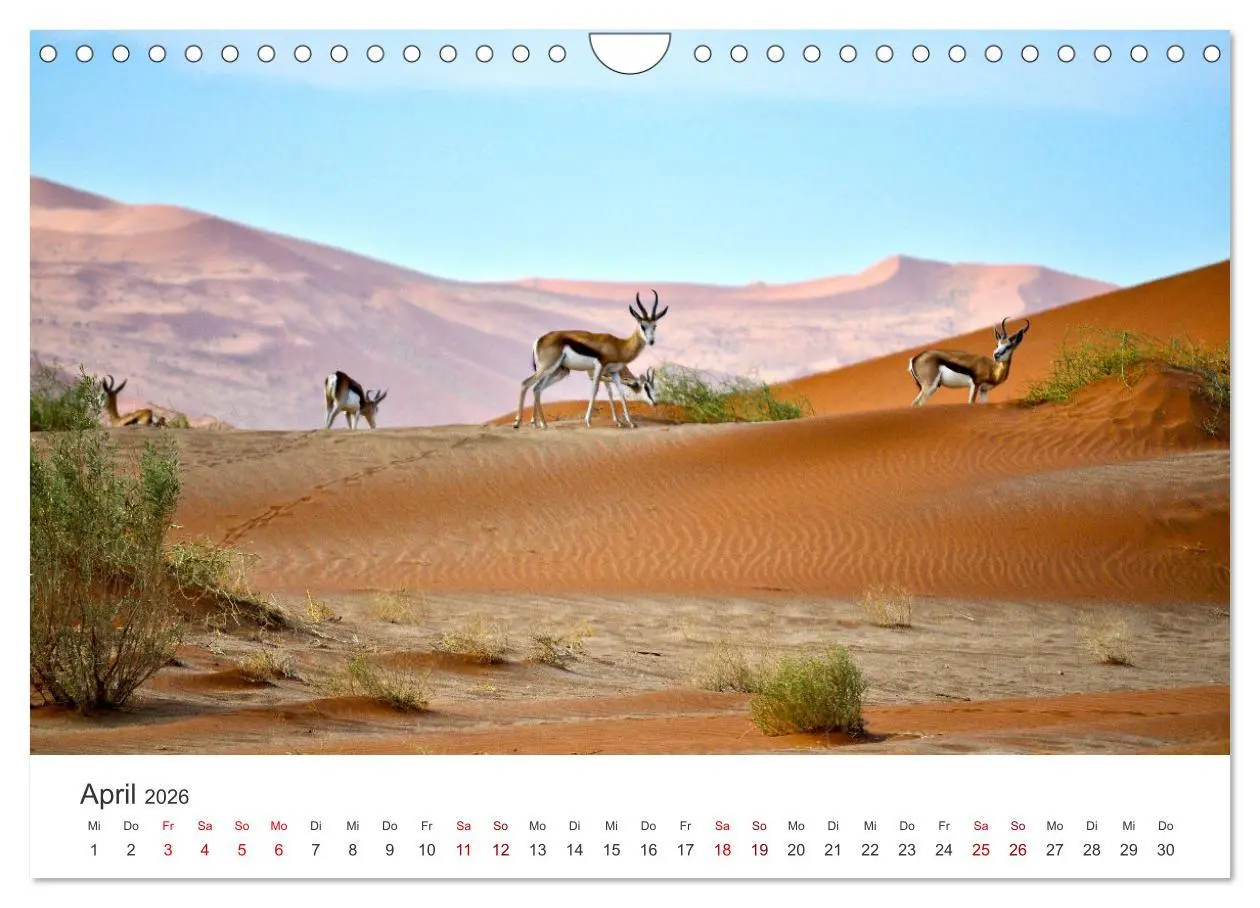 Bild: 9783457593547 | Namibia - Ein Paradies auf Erden. (Wandkalender 2026 DIN A4 quer),...
