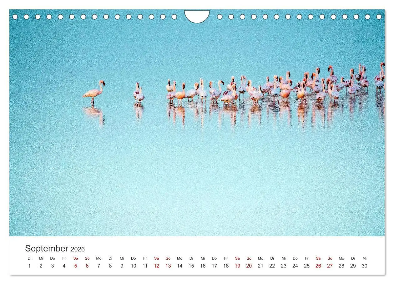 Bild: 9783457593547 | Namibia - Ein Paradies auf Erden. (Wandkalender 2026 DIN A4 quer),...