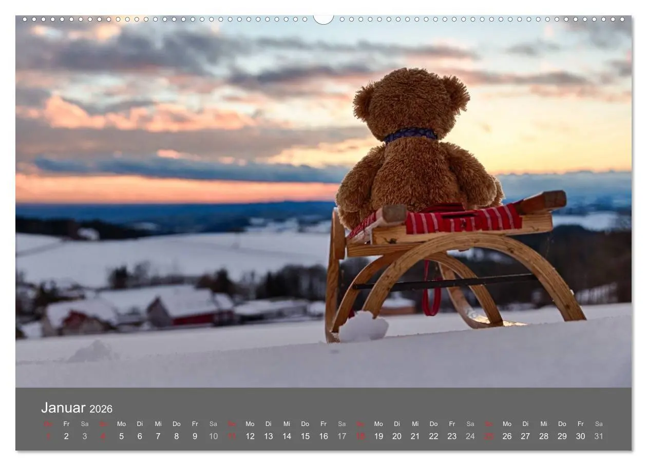Bild: 9783457973547 | Travelling Teddy 2026 (Wandkalender 2026 DIN A2 quer), CALVENDO...