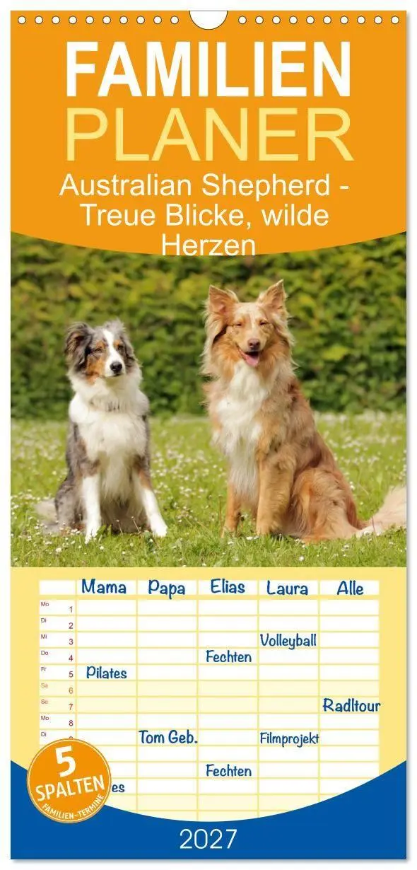 Cover: 9783569533547 | Familienplaner 2027 - Australian Shepherd - Treue Blicke, wilde...