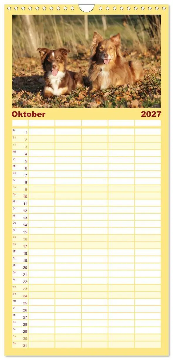 Bild: 9783569533547 | Familienplaner 2027 - Australian Shepherd - Treue Blicke, wilde...