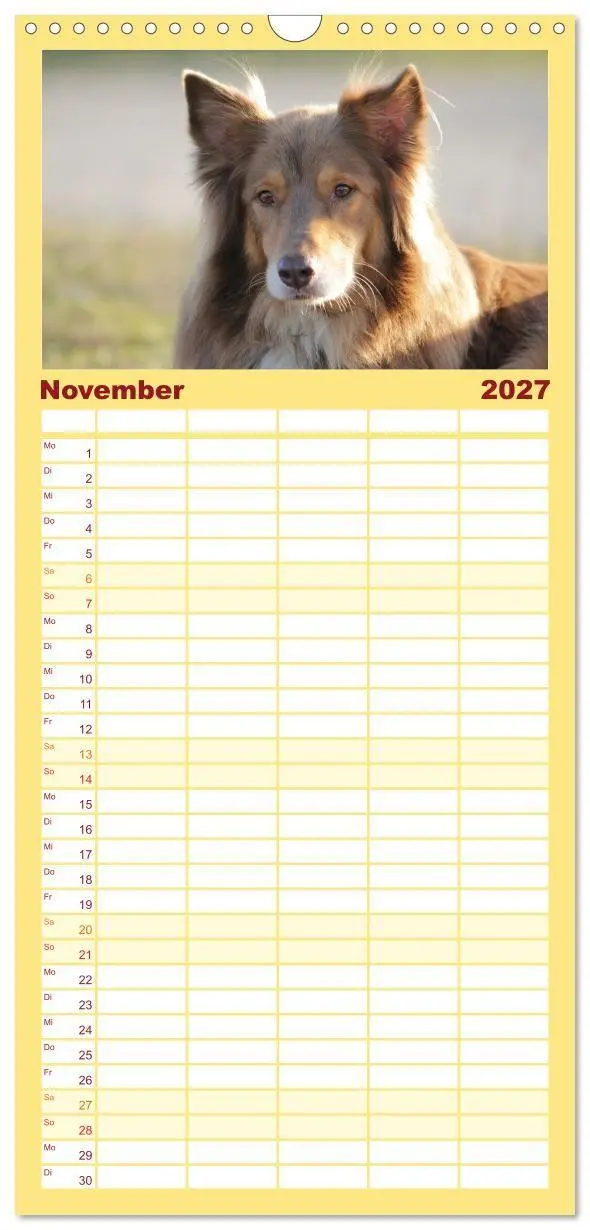 Bild: 9783569533547 | Familienplaner 2027 - Australian Shepherd - Treue Blicke, wilde...