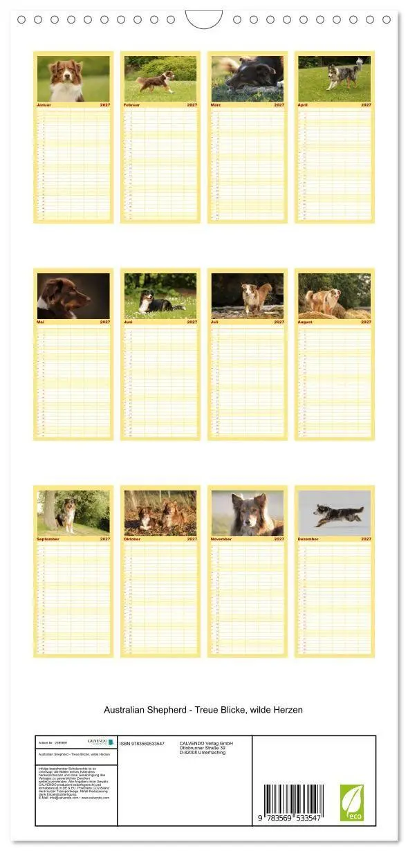 Bild: 9783569533547 | Familienplaner 2027 - Australian Shepherd - Treue Blicke, wilde...