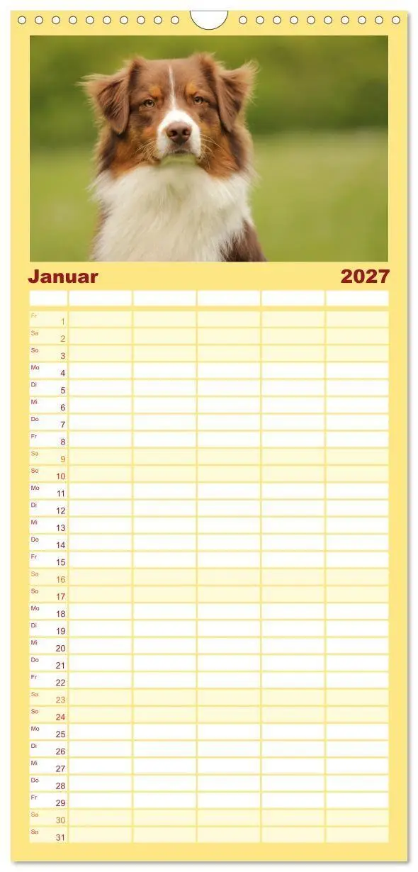 Bild: 9783569533547 | Familienplaner 2027 - Australian Shepherd - Treue Blicke, wilde...