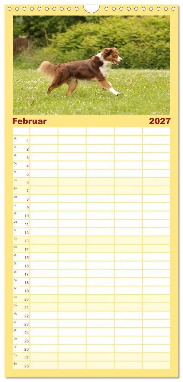 Bild: 9783569533547 | Familienplaner 2027 - Australian Shepherd - Treue Blicke, wilde...