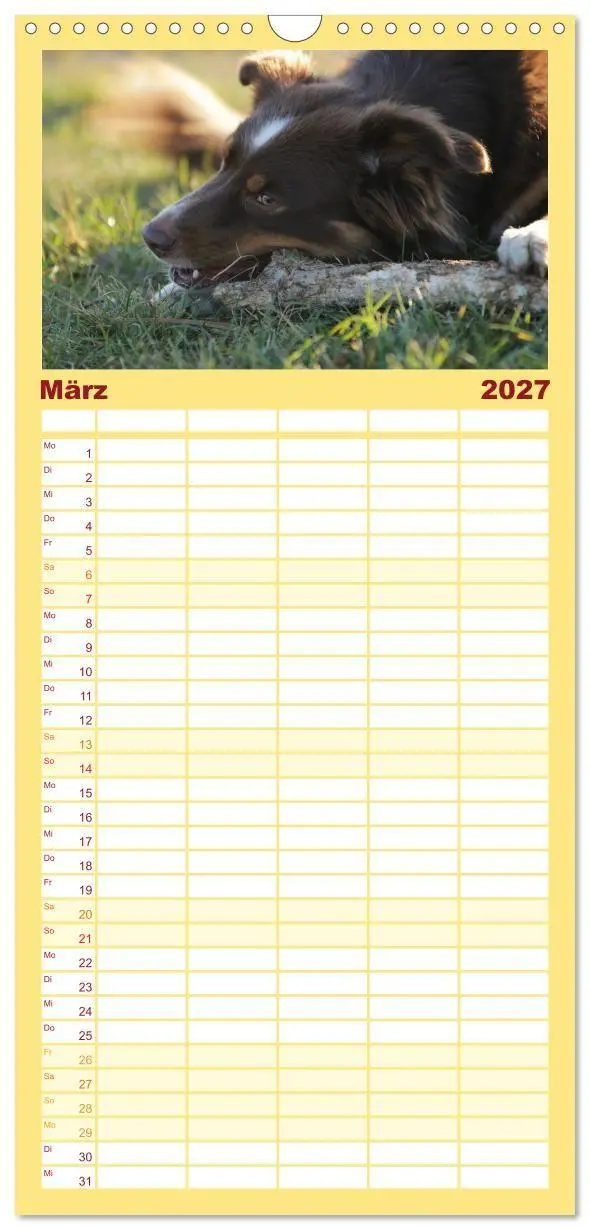 Bild: 9783569533547 | Familienplaner 2027 - Australian Shepherd - Treue Blicke, wilde...