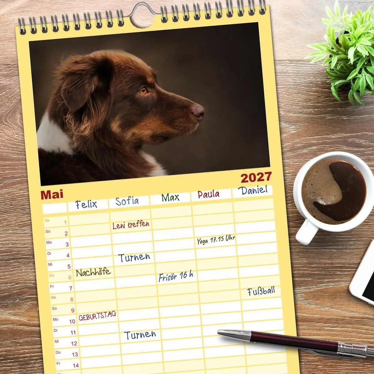 Bild: 9783569533547 | Familienplaner 2027 - Australian Shepherd - Treue Blicke, wilde...
