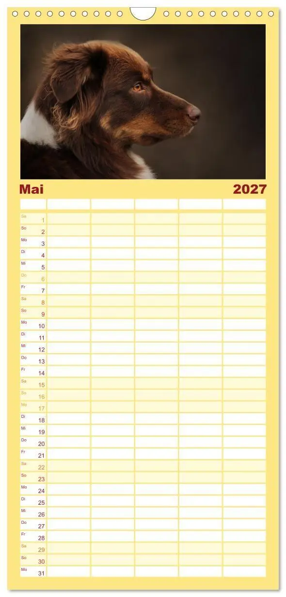 Bild: 9783569533547 | Familienplaner 2027 - Australian Shepherd - Treue Blicke, wilde...