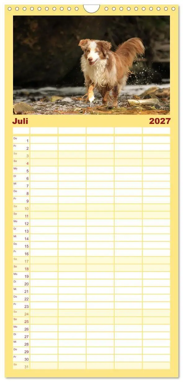 Bild: 9783569533547 | Familienplaner 2027 - Australian Shepherd - Treue Blicke, wilde...