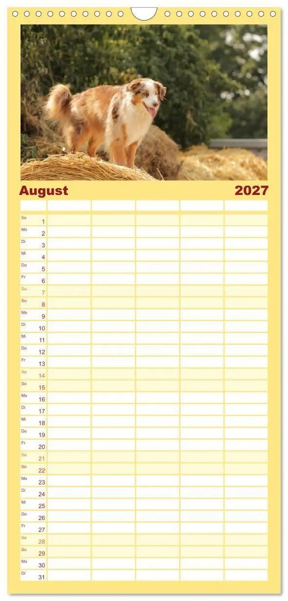 Bild: 9783569533547 | Familienplaner 2027 - Australian Shepherd - Treue Blicke, wilde...