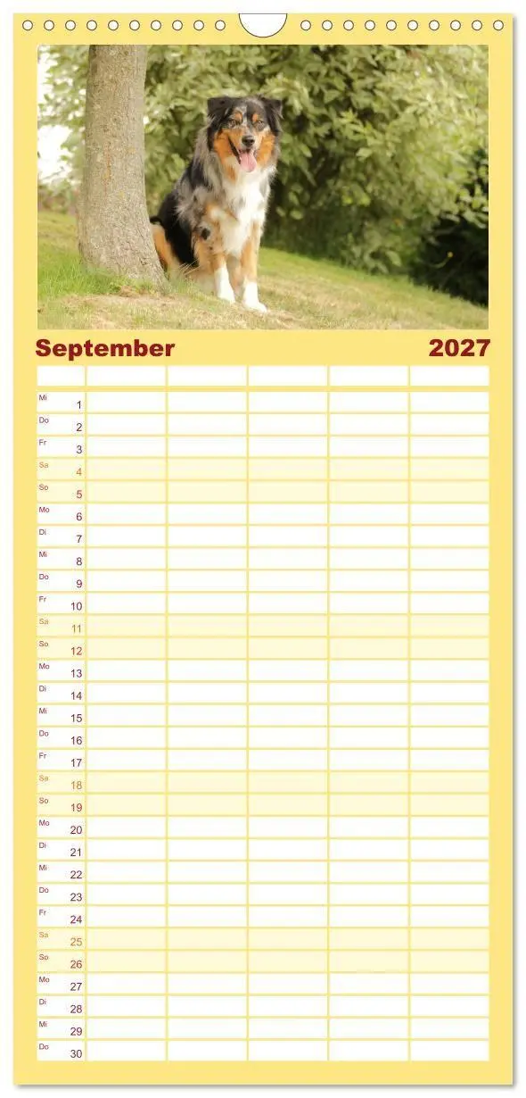 Bild: 9783569533547 | Familienplaner 2027 - Australian Shepherd - Treue Blicke, wilde...