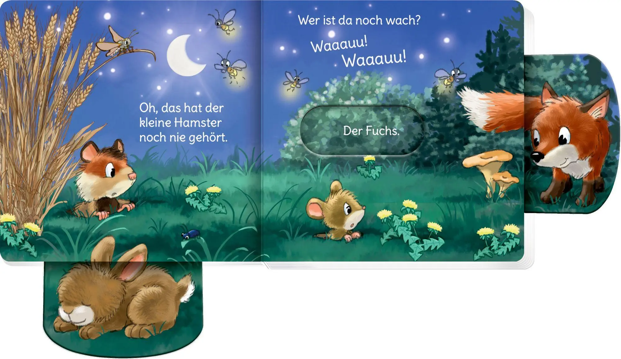 Bild: 9783649653547 | minifanten 54: Miau! Wer ist noch wach? | Antje Flad | Buch | 14 S.