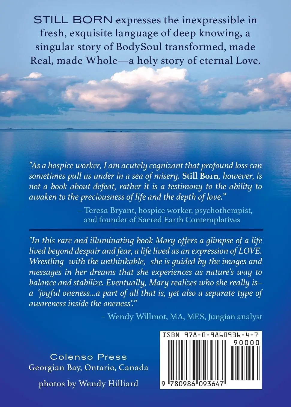 Rückseite: 9780986093647 | Still Born - Stepping into the Unknown | Mary Hamilton | Taschenbuch