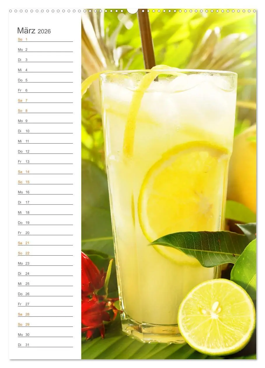Bild: 9783516363647 | Tropical Cocktails - Erfrischend und fruchtig (Wandkalender 2026...
