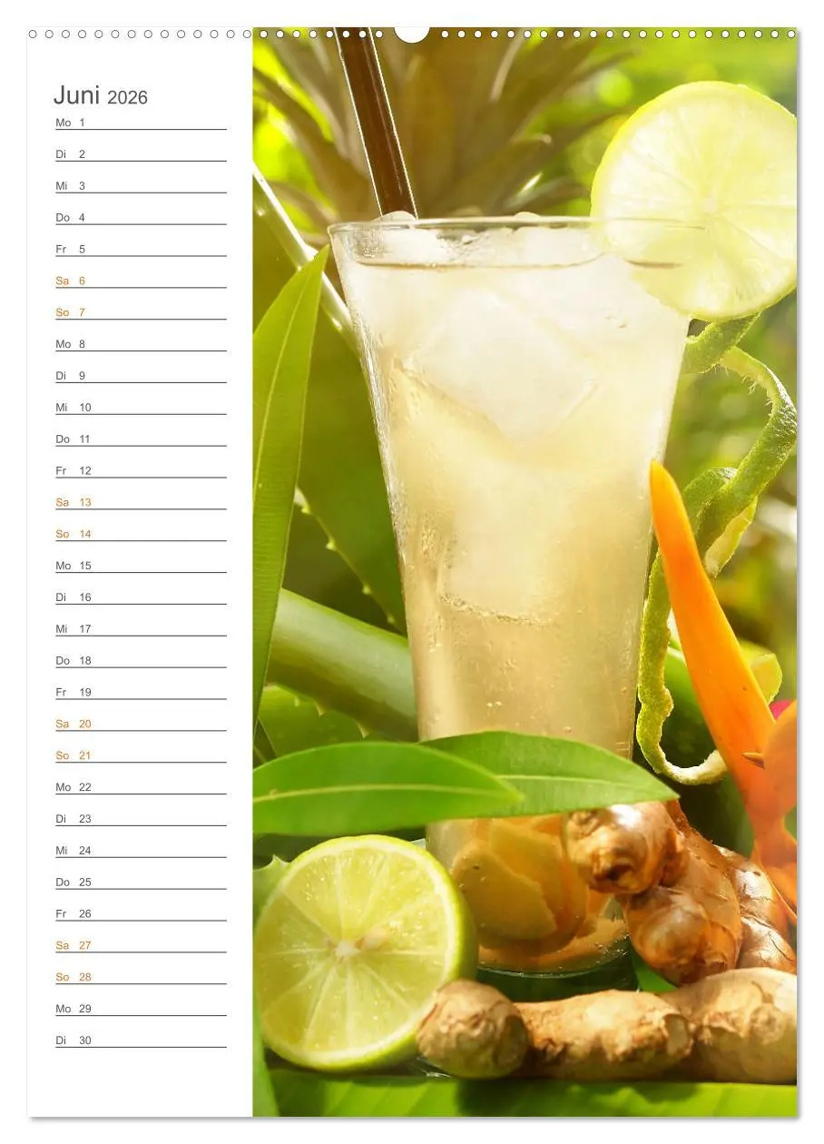 Bild: 9783516363647 | Tropical Cocktails - Erfrischend und fruchtig (Wandkalender 2026...