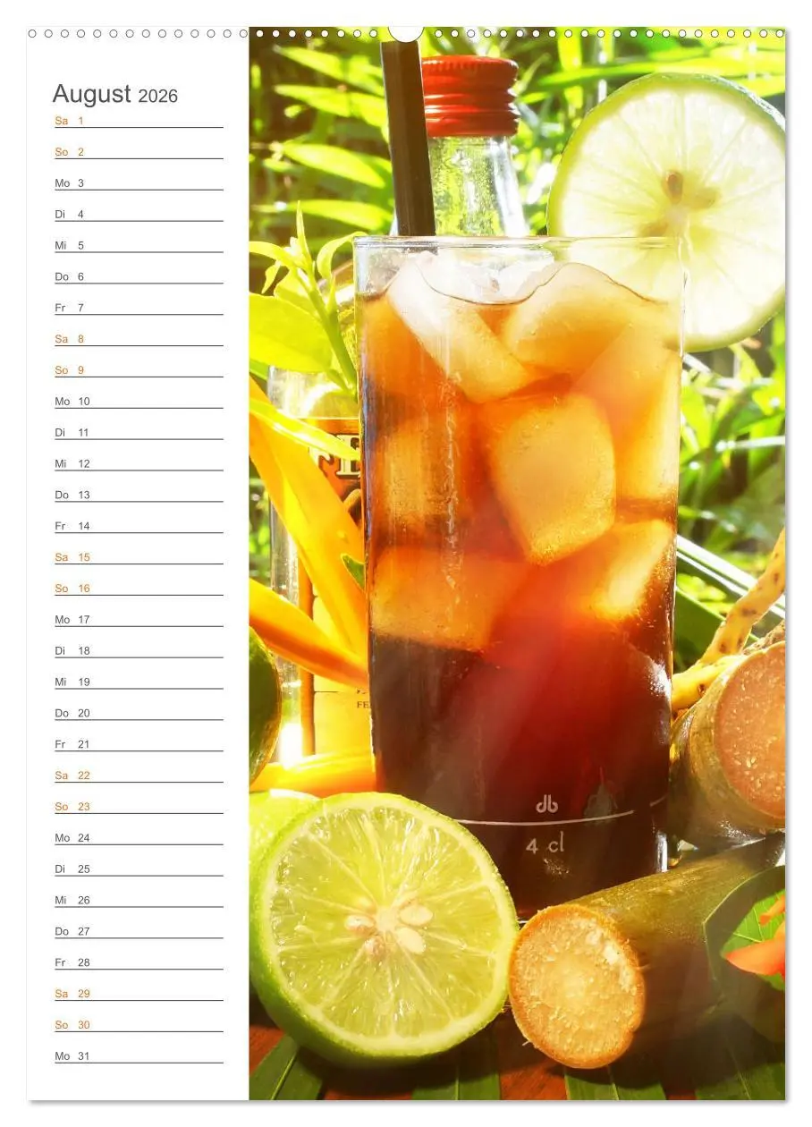 Bild: 9783516363647 | Tropical Cocktails - Erfrischend und fruchtig (Wandkalender 2026...